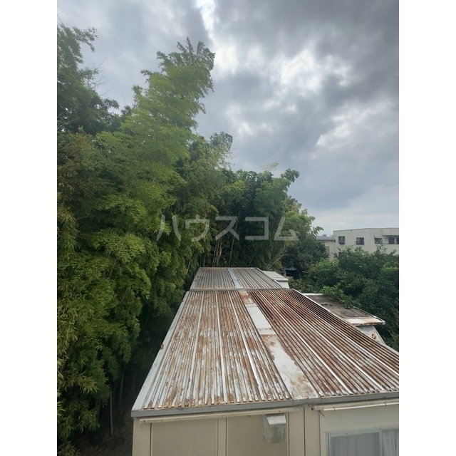 11/19 その他画像