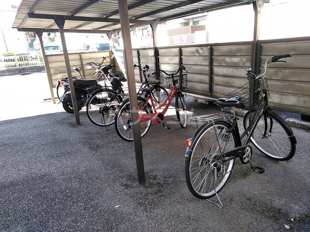 20/30 その他画像