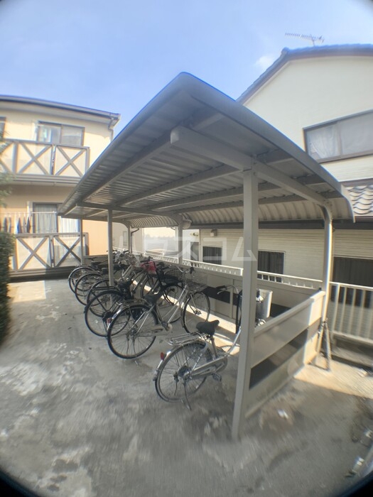 20/30 その他画像