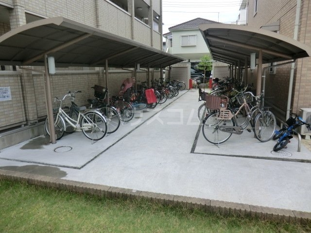 20/30 その他画像