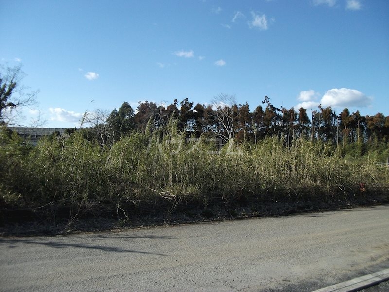 19/30 その他画像