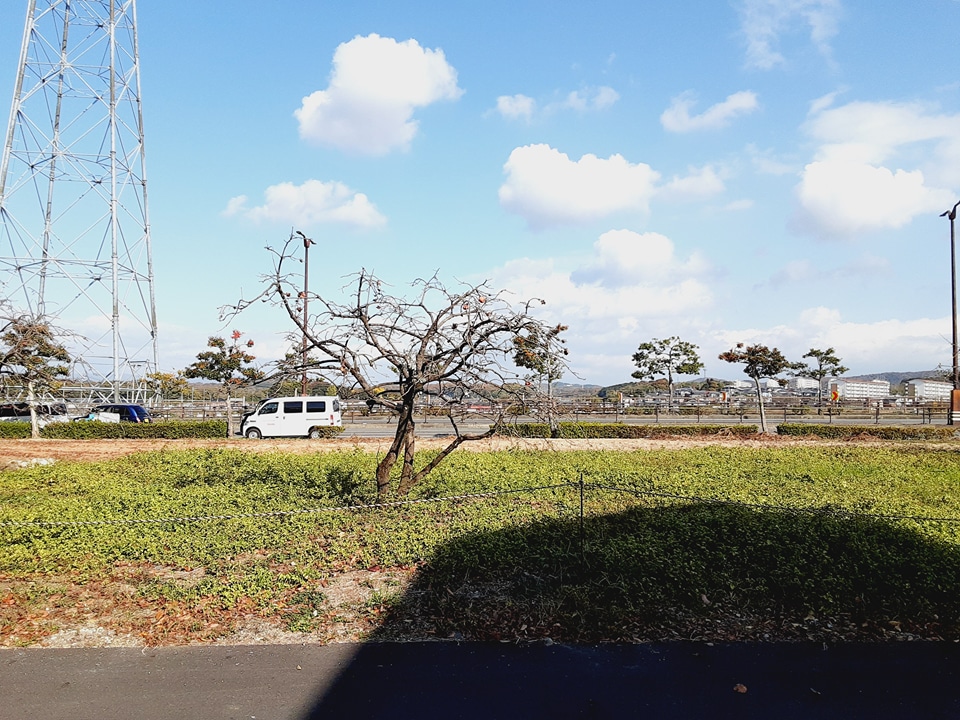 21/30 その他画像