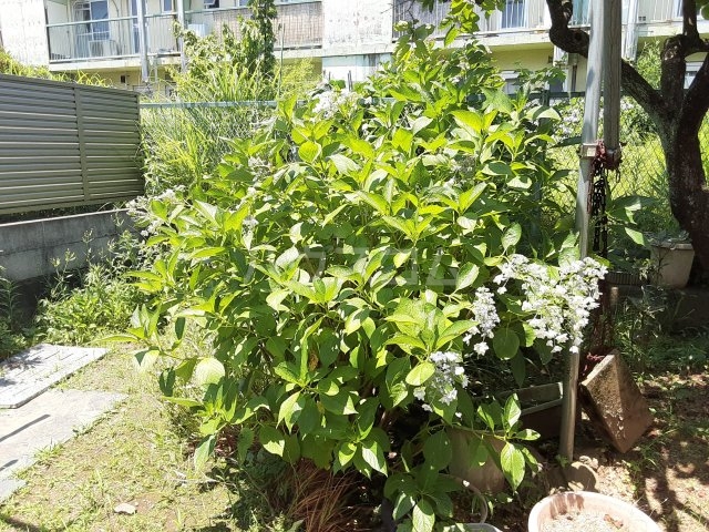 15/17 その他画像