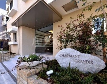 3/14 その他画像