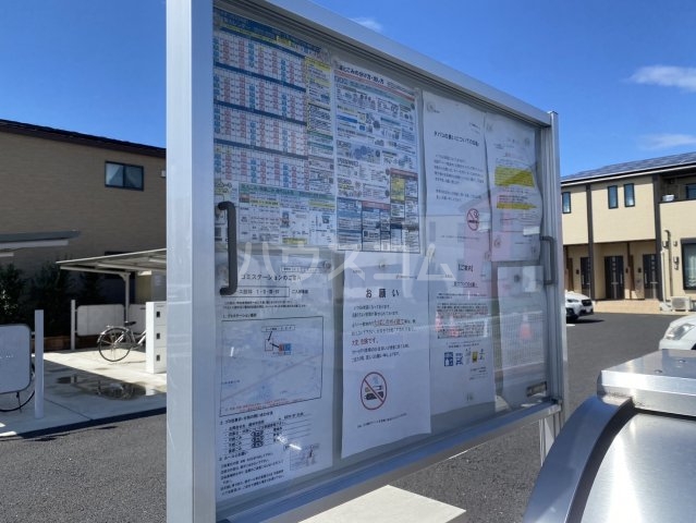 20/30 その他画像