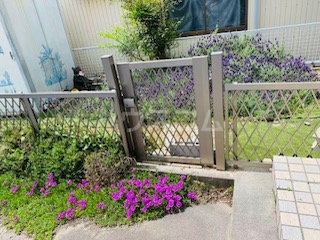 6/8 エントランス