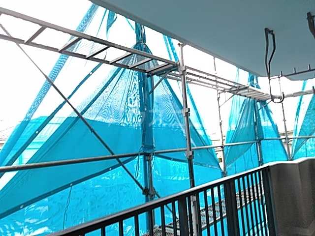 19/22 その他画像