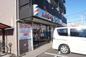 13/15 その他画像