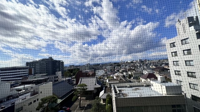 19/30 その他画像