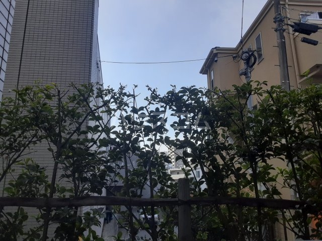 14/19 その他画像