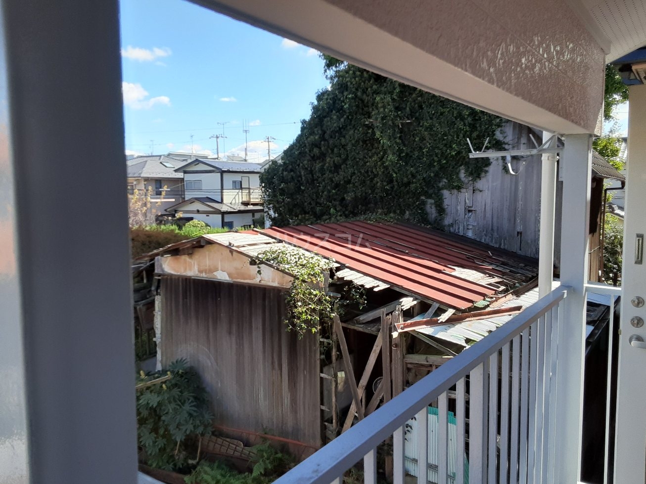 29/30 その他画像