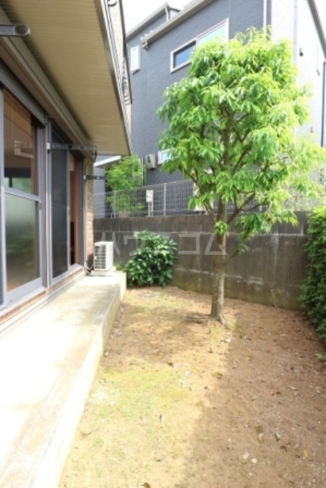 11/17 その他画像