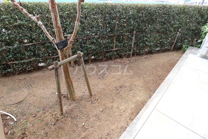 15/19 その他画像