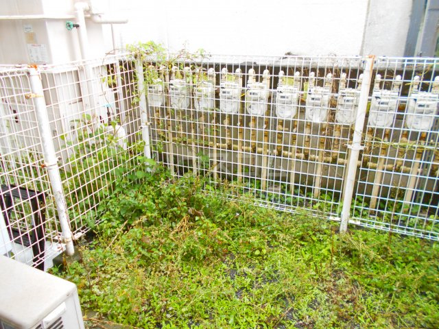 15/30 バルコニー