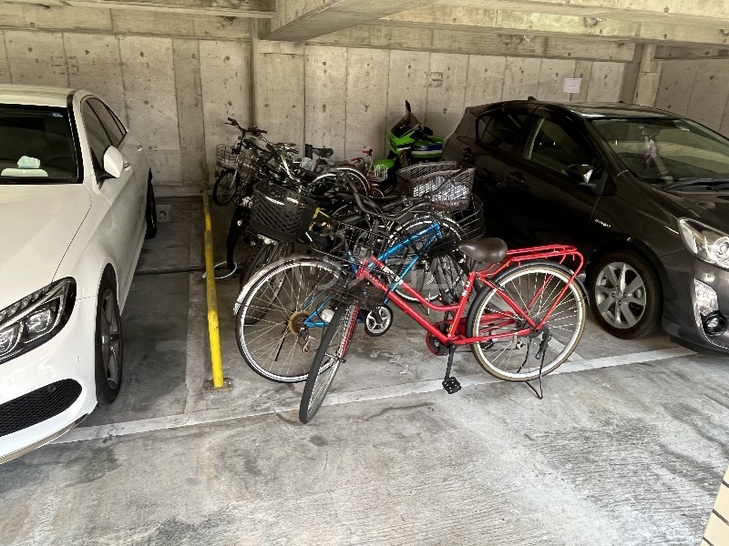 3/14 その他画像