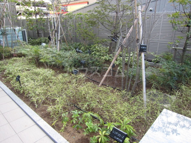 16/30 その他画像