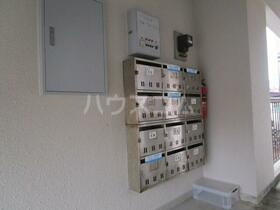 14/19 その他画像