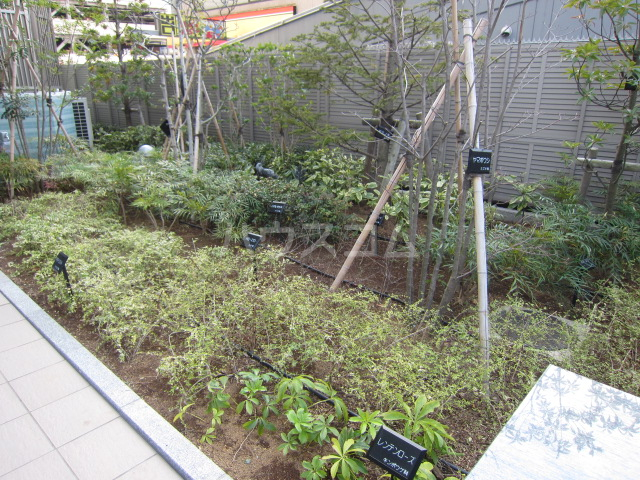15/30 キッチン