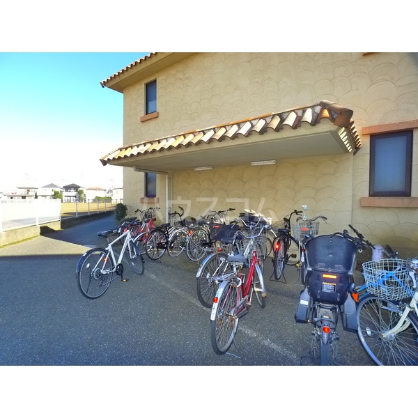 11/15 その他画像