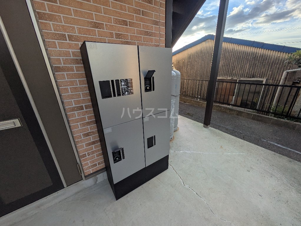 20/30 その他画像