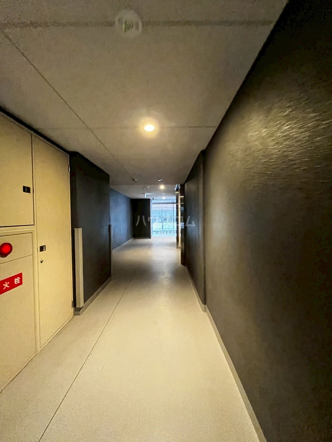 11/24 その他画像