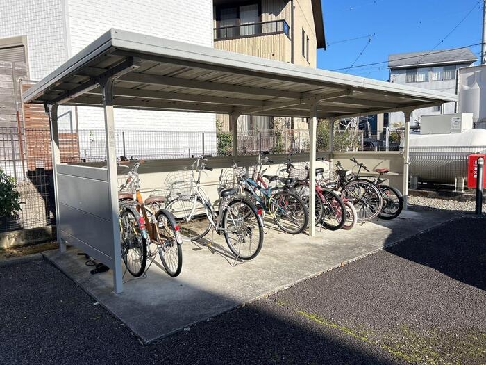 20/30 その他画像