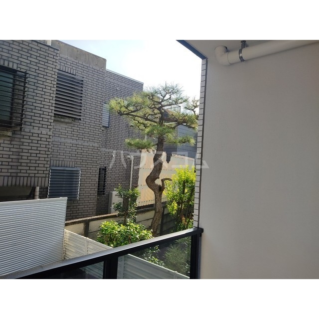 11/24 その他画像