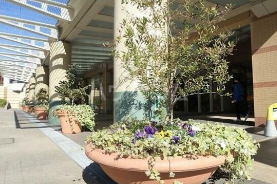 5/12 その他画像