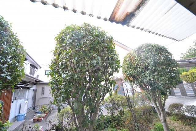 12/16 その他画像