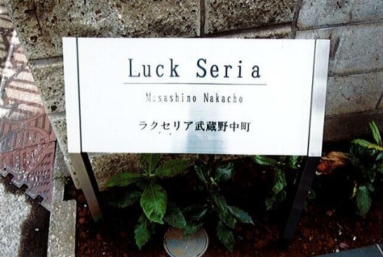 13/25 その他画像