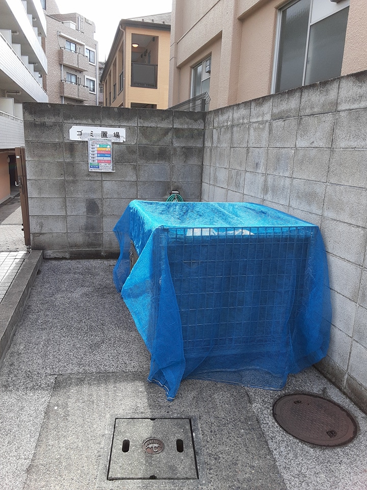 20/30 その他画像