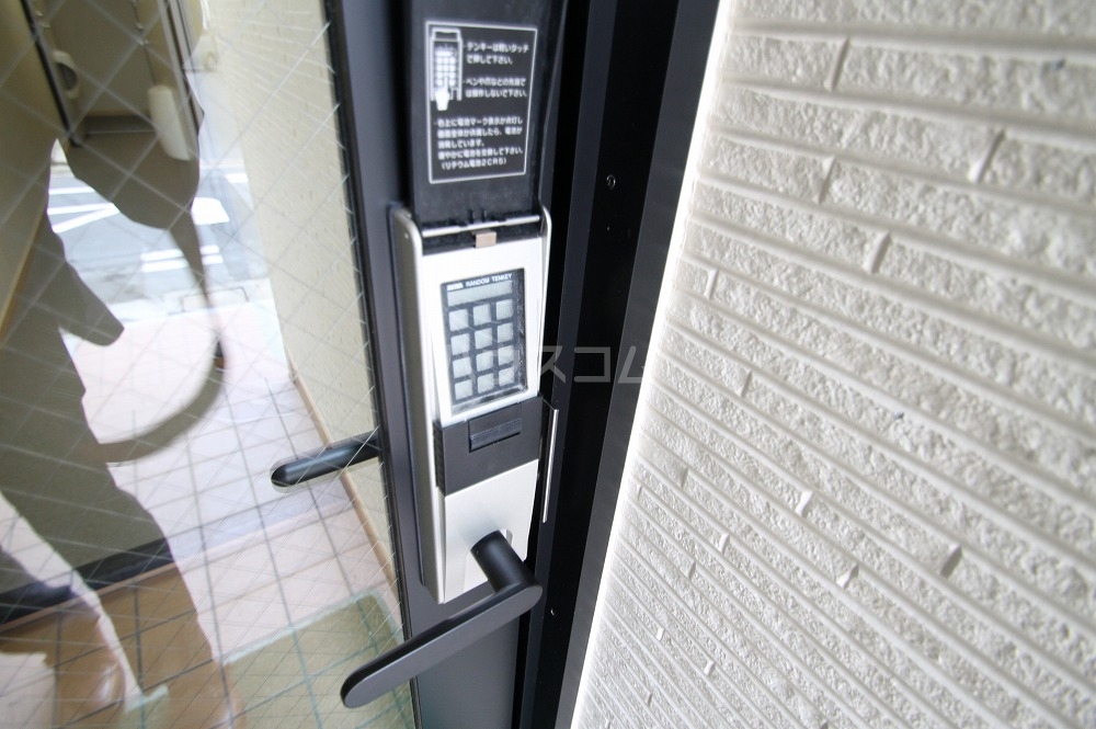 15/25 その他画像