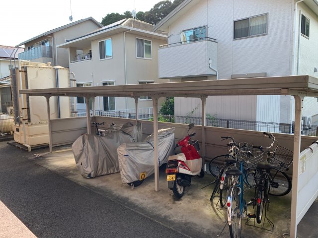 20/30 その他画像