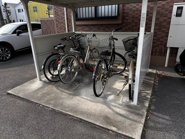 20/30 その他画像