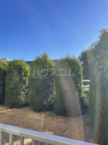 21/28 その他画像