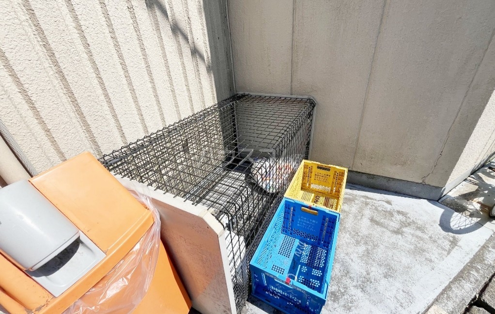 17/26 その他画像