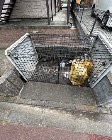 20/30 その他画像