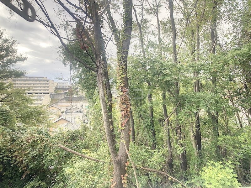 15/27 その他画像