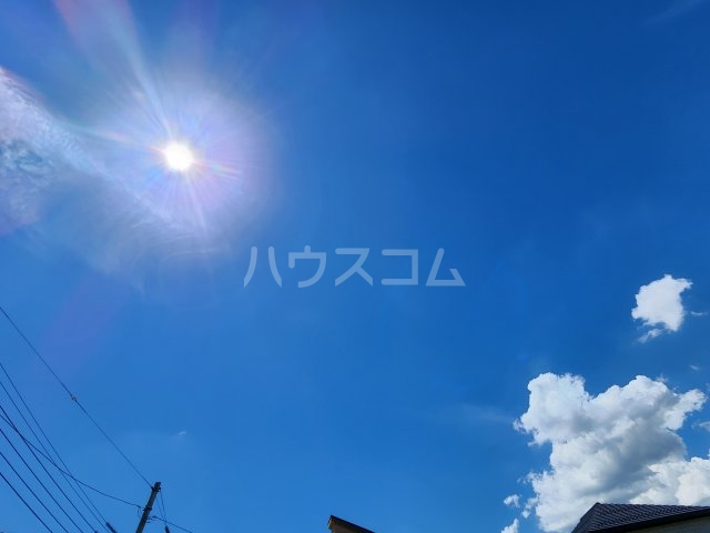 11/23 その他画像