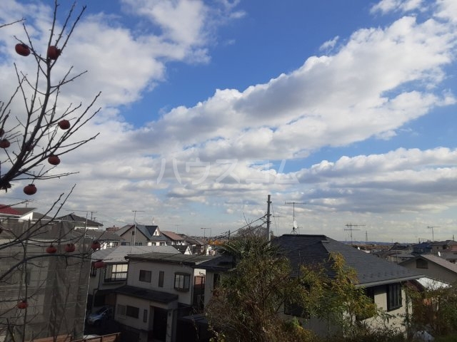 5/16 その他画像