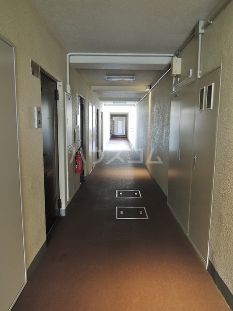 5/19 その他画像