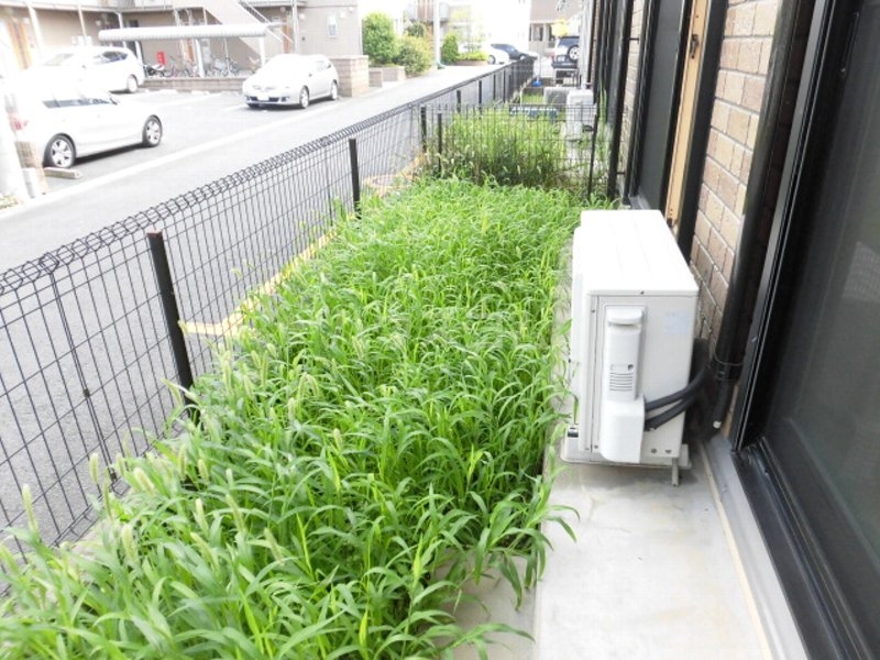 21/30 その他画像