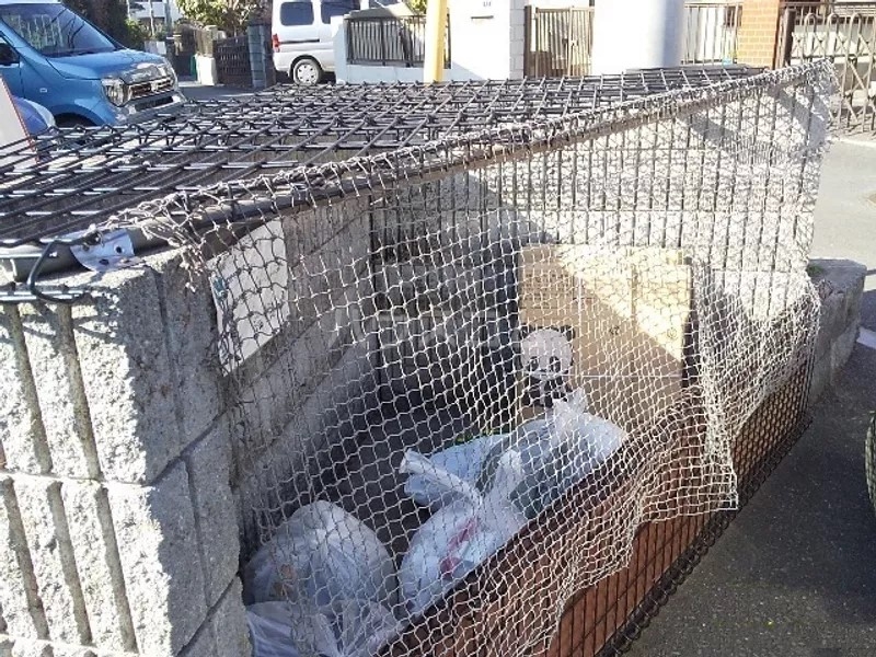 14/25 その他画像