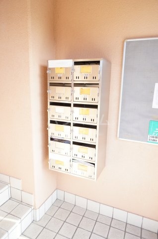 20/30 その他画像