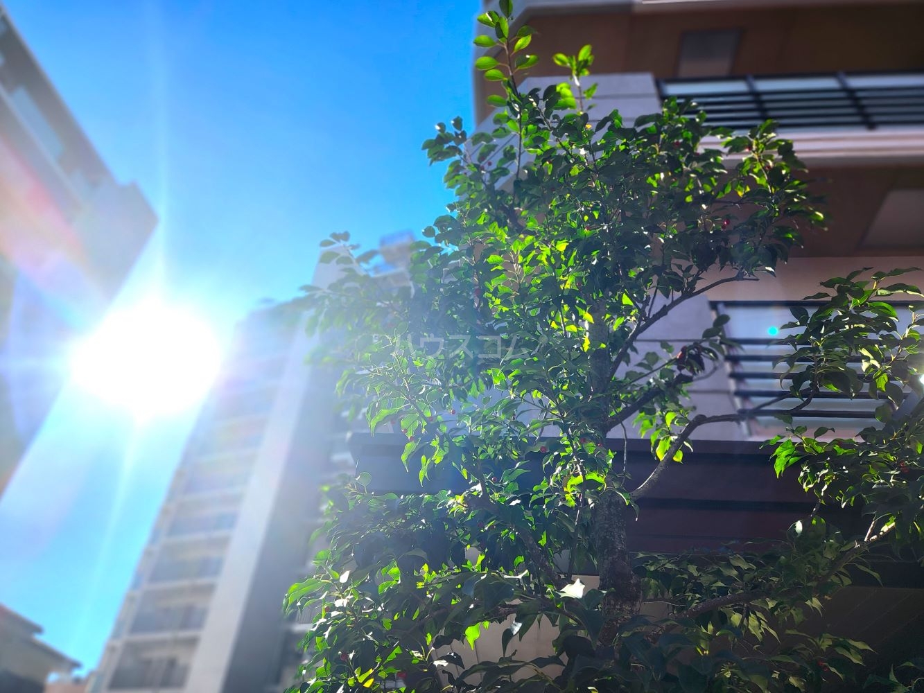 16/30 その他画像