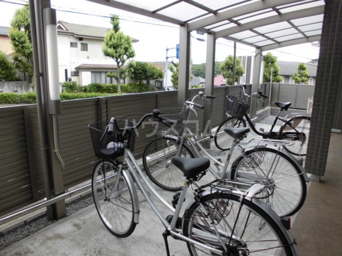 20/30 その他画像