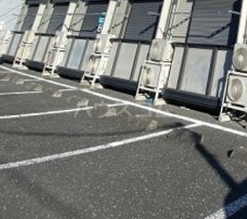 13/24 その他画像