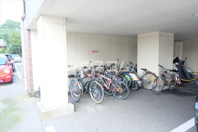 17/25 その他画像