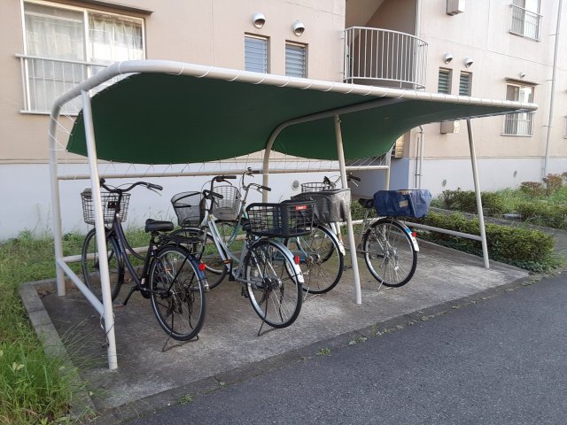 その他共有