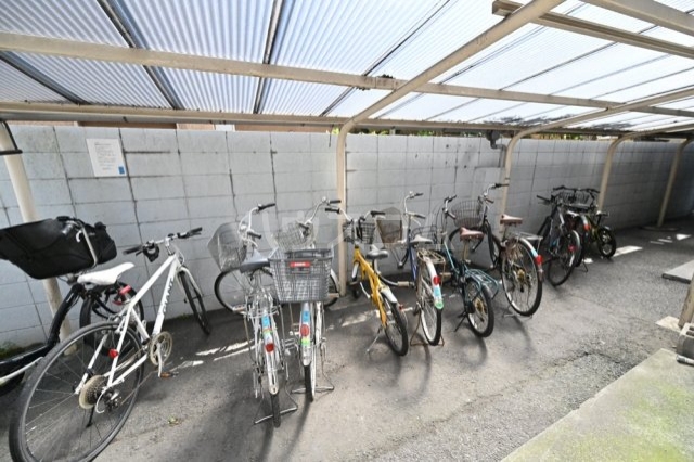 15/25 その他画像